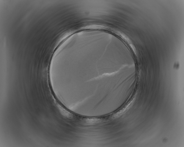 X0000097591425200803280917