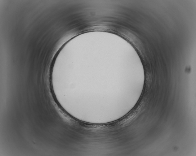 X0000097591426200803280917