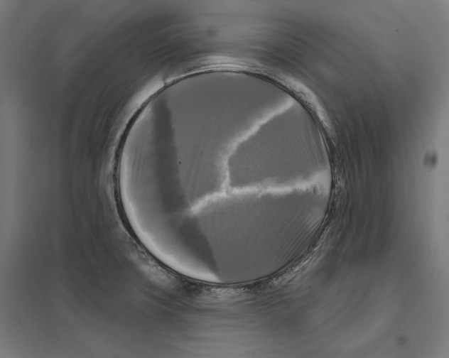 X0000097591427200803280917