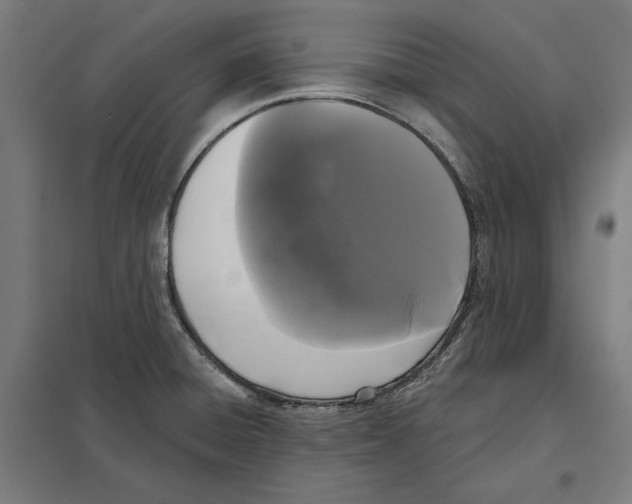 X0000097591428200803280917