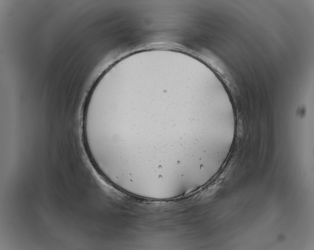 X0000097591430200803280917