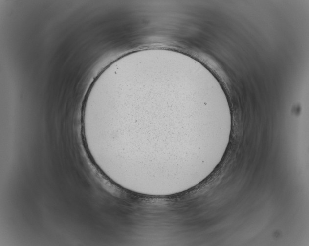 X0000097591431200803280917