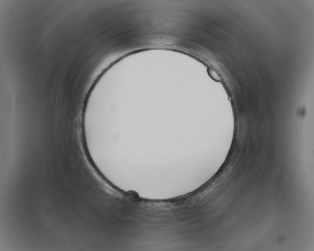 X0000097591432200803280917