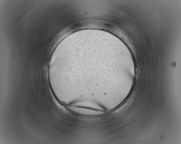 X0000097591433200803280917