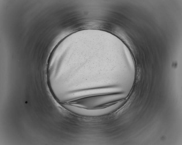 X0000097591434200803280917