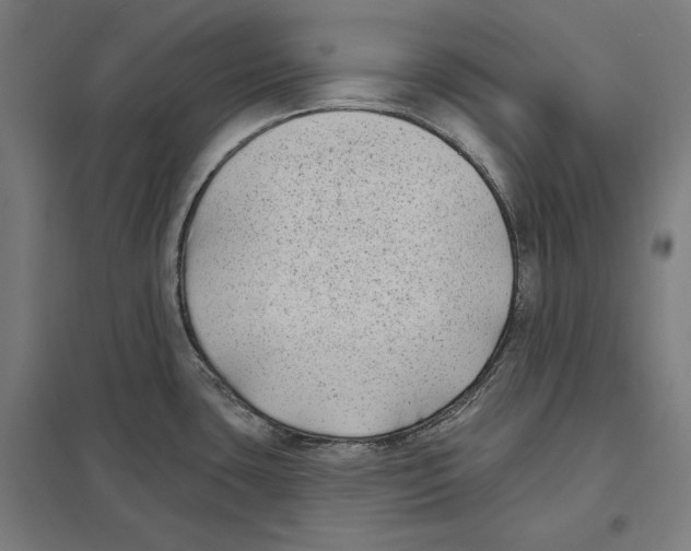 X0000097591435200803280917