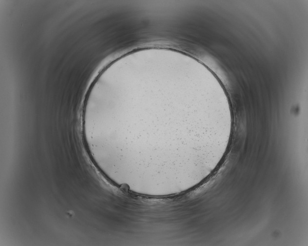 X0000097591436200803280917