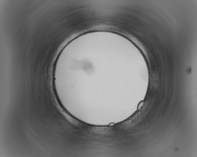 X0000097591437200803280917