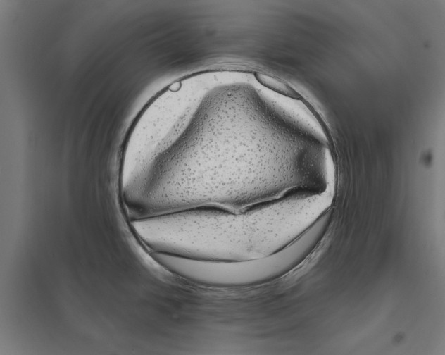 X0000097591438200803280917