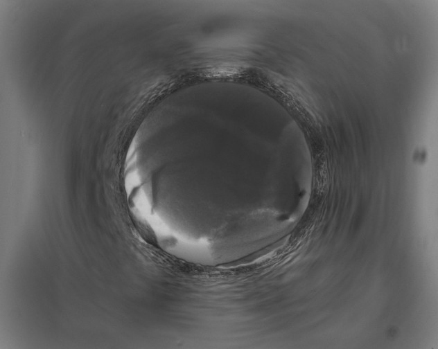 X0000097591441200803280916