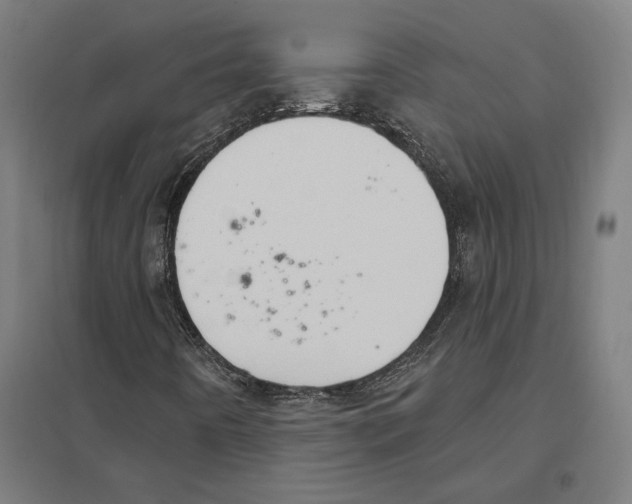 X0000097591442200803280916