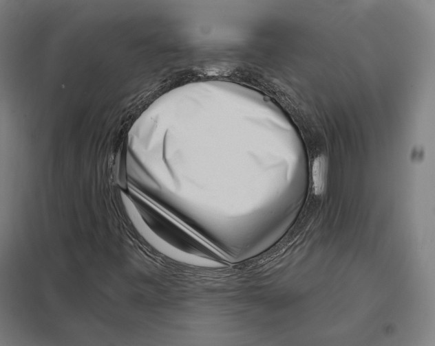 X0000097591443200803280916