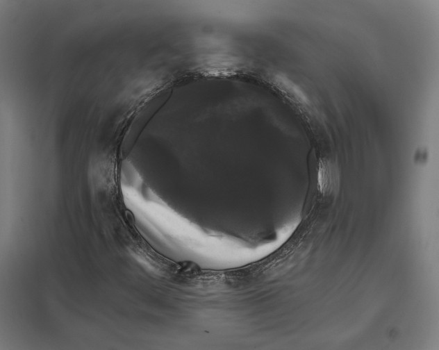 X0000097591444200803280916