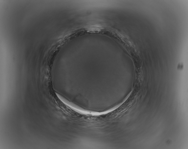 X0000097591445200803280916