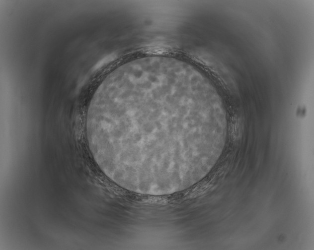 X0000097591446200803280916