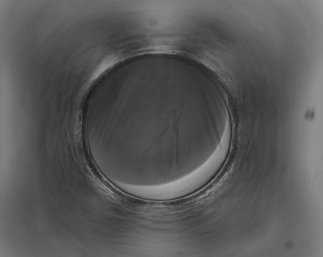 X0000097591450200803280916