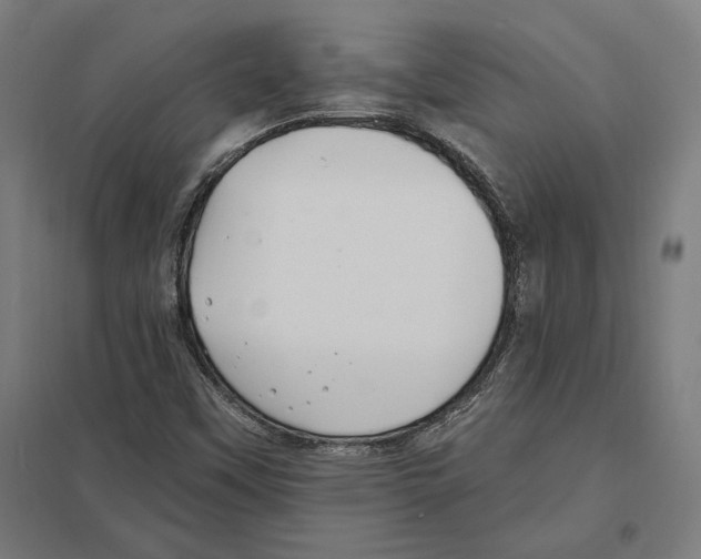 X0000097591451200803280916