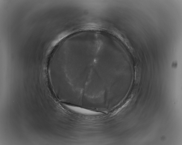 X0000097591453200803280916