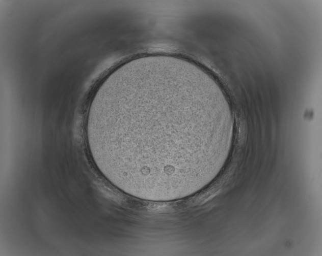 X0000097591454200803280916