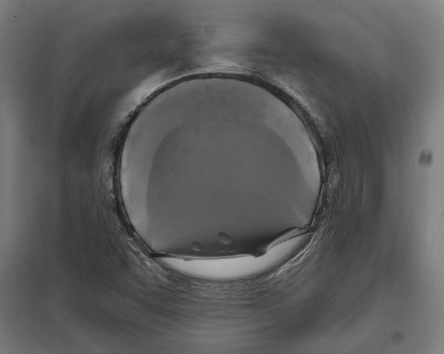 X0000097591455200803280916