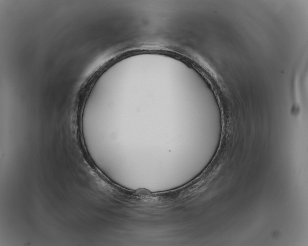 X0000097591456200803280916