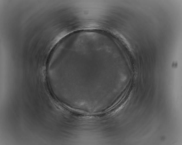 X0000097591457200803280916