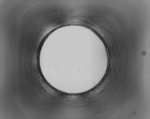 X0000097591458200803280916