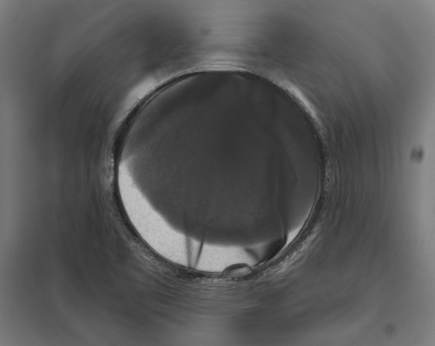 X0000097591461200803280916