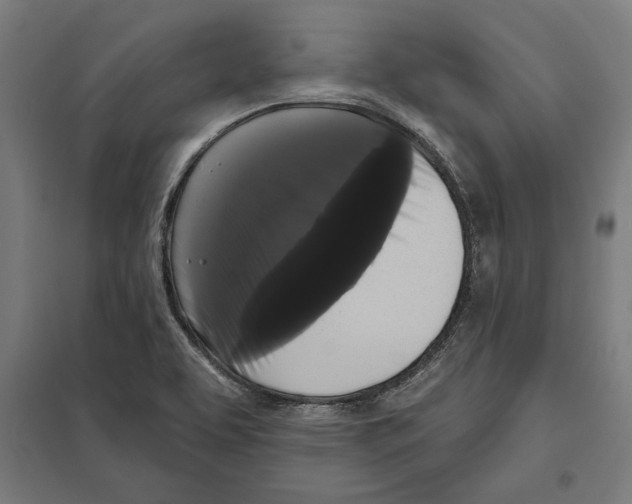 X0000097591463200803280916