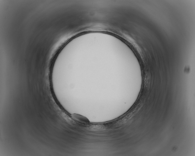 X0000097591464200803280916