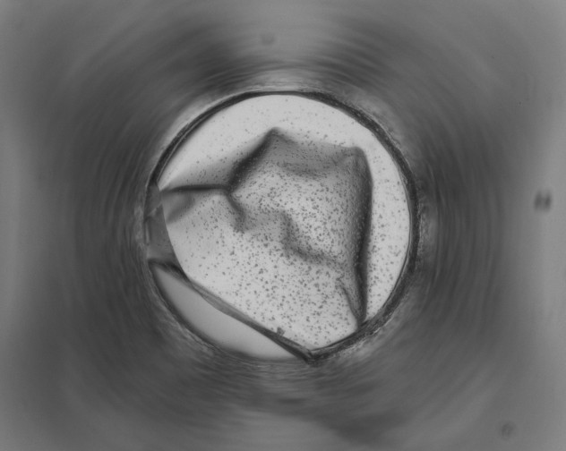 X0000097591465200803280916