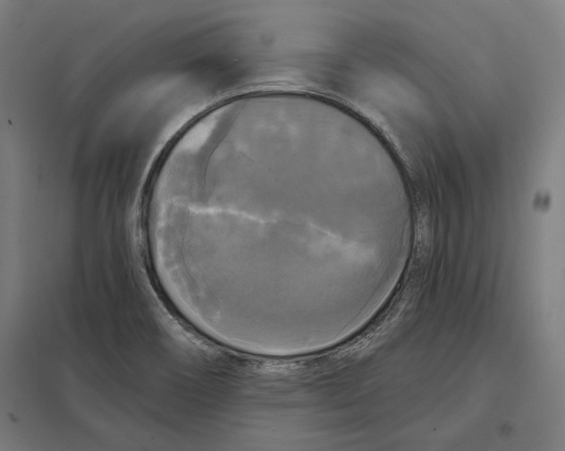 X0000097591466200803280916