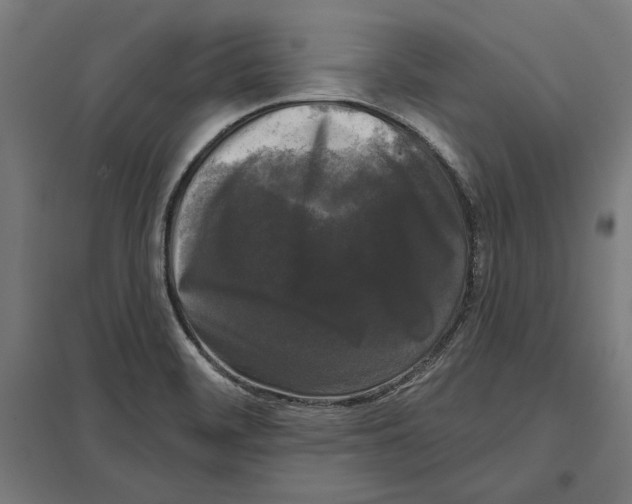 X0000097591468200803280916