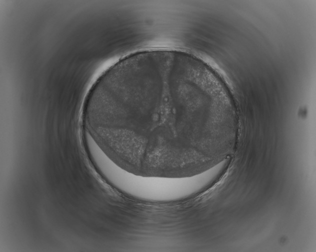 X0000097591469200803280916