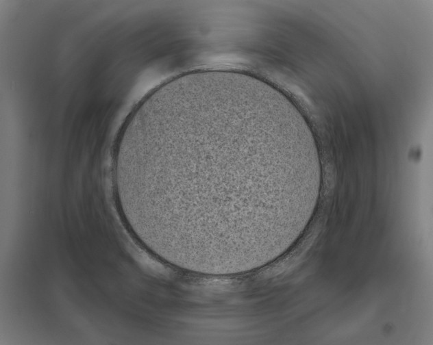 X0000097591470200803280916