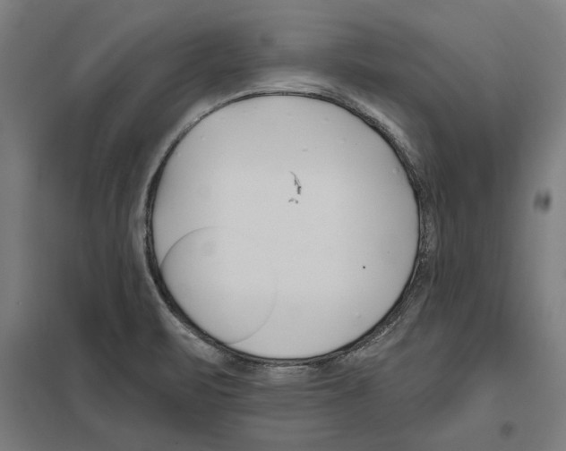 X0000097591471200803280916