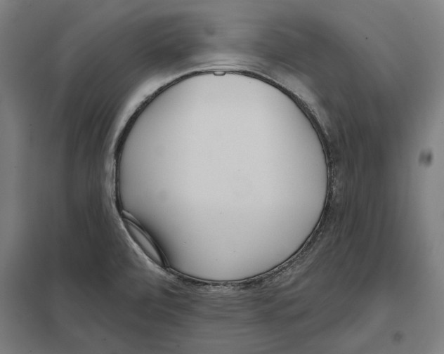 X0000097591472200803280916