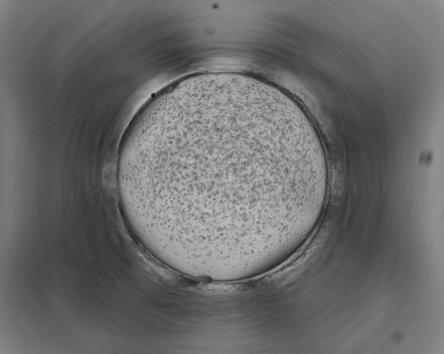 X0000097591473200803280916