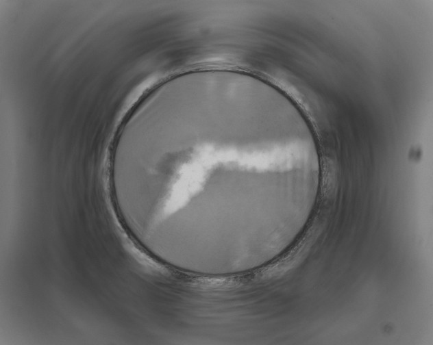 X0000097591474200803280916