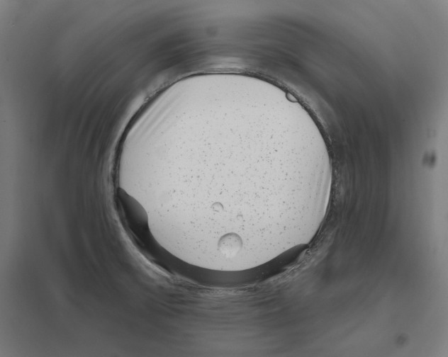 X0000097591475200803280915