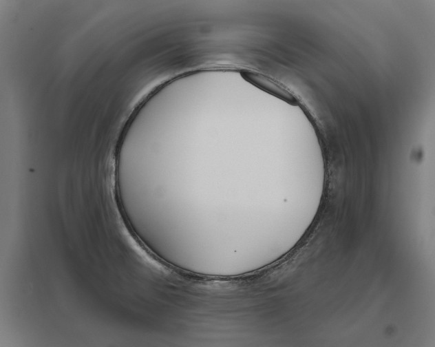 X0000097591476200803280915