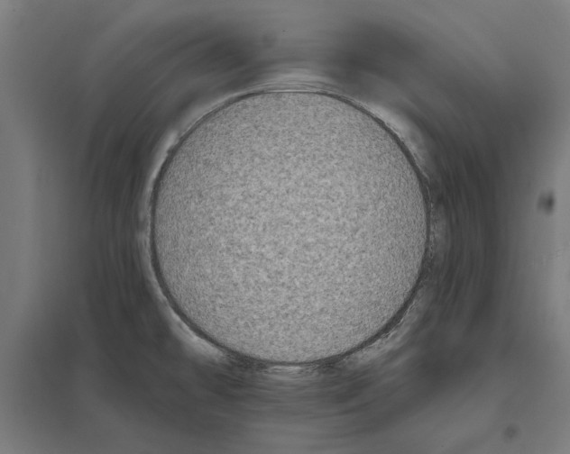 X0000097591478200803280915