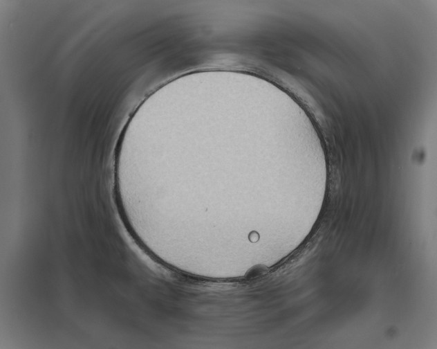 X0000097591479200803280915