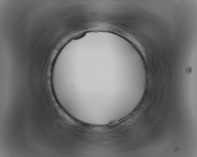 X0000097591480200803280915