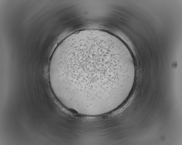 X0000097591481200803280915