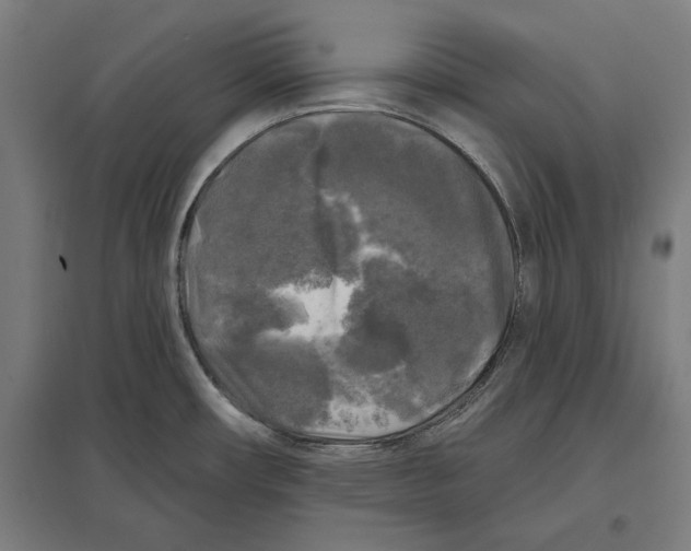 X0000097591482200803280915