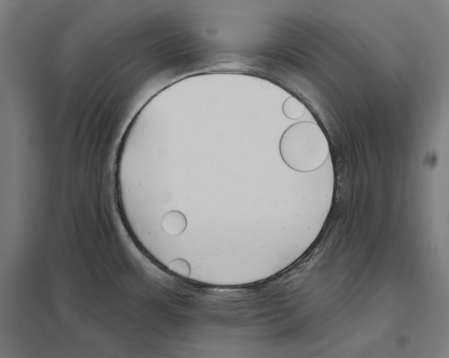 X0000097591483200803280915