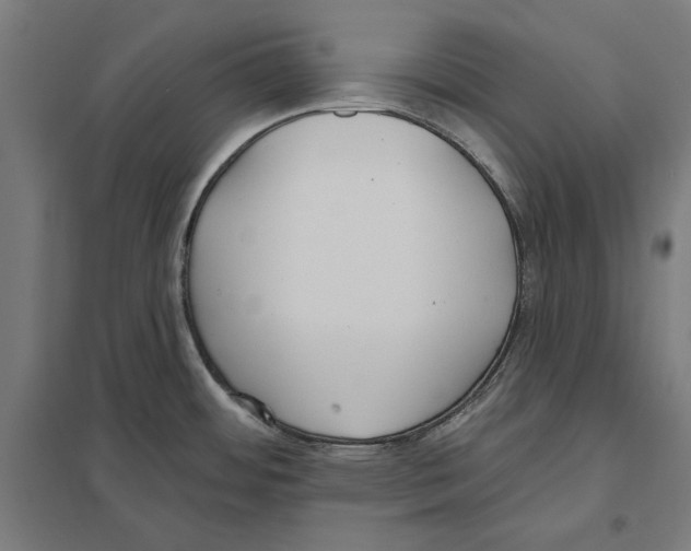 X0000097591484200803280915