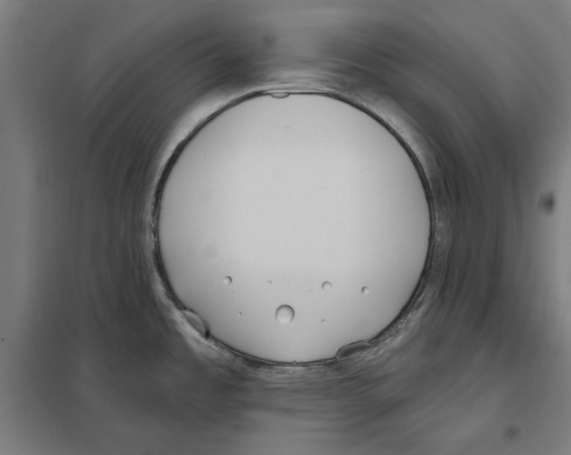 X0000097591485200803280915