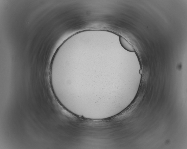 X0000097591486200803280915